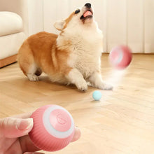 Load image into Gallery viewer, PawSphere Smart Pet Ball